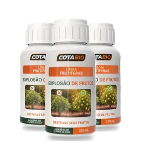 Kit com 3 frascos de Explosão de Frutos