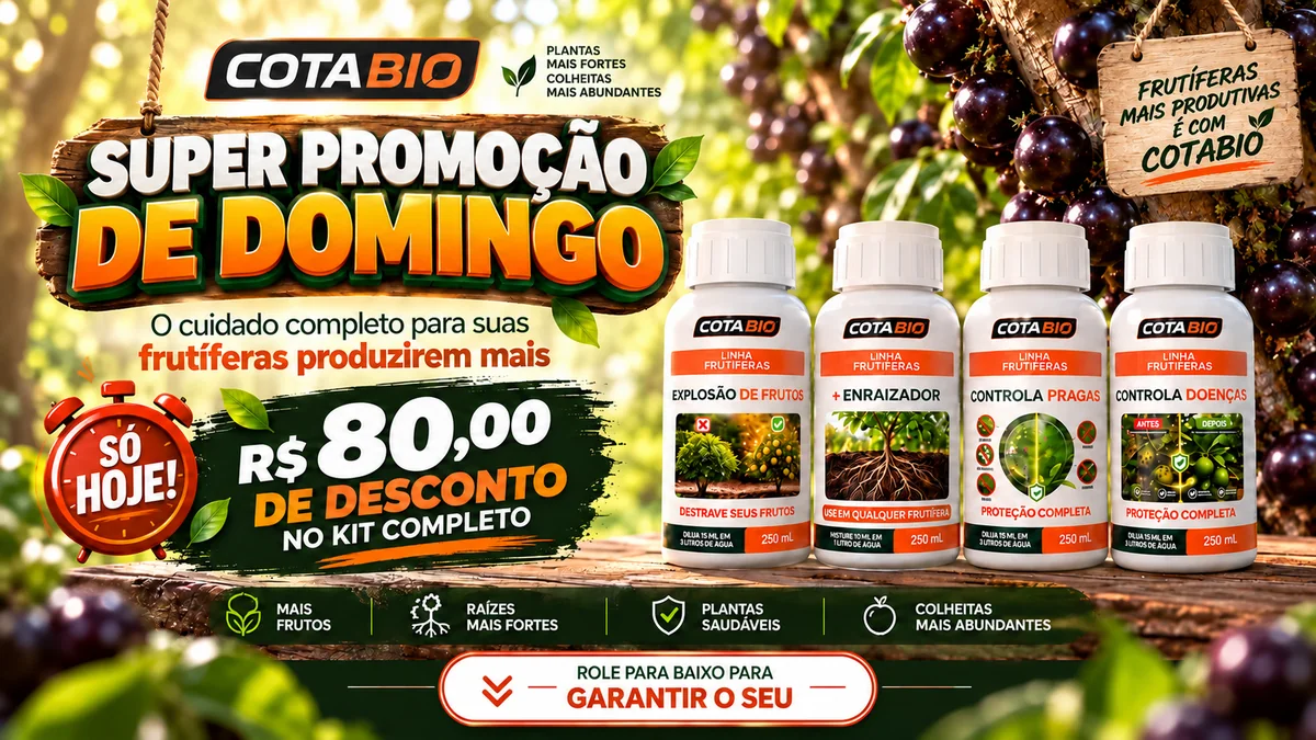 Super Promoção de Domingo: R$&nbsp;80,00 de desconto no Kit Completo Cota Bio Frutíferas